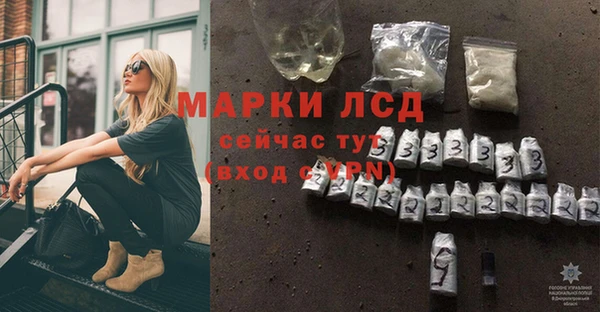 эйфоретик Баксан
