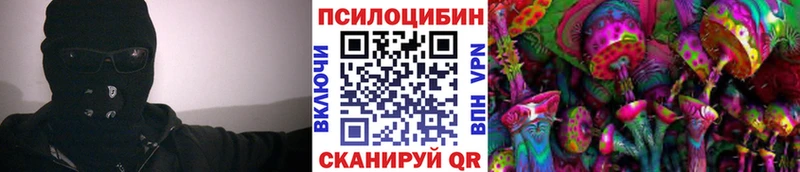 нарко площадка официальный сайт  Верхняя Пышма  Псилоцибиновые грибы MAGIC MUSHROOMS  сколько стоит 